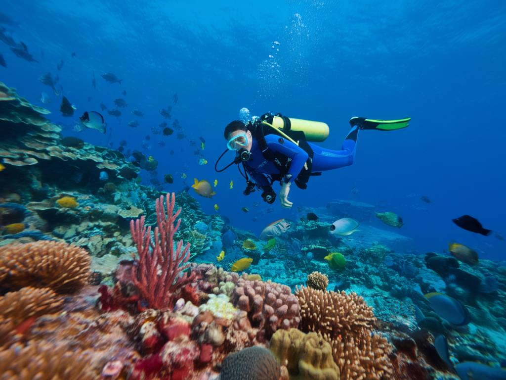 Scuba diving in belize: an underwater adventure guide